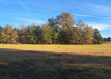 Lake Marion Acreage For Sale in Eutawville South Carolina