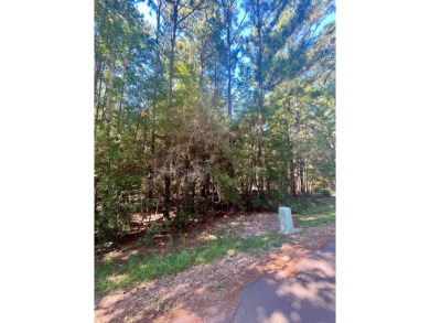 Lake Lot For Sale in Brookeland, Texas