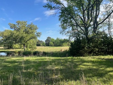 (private lake, pond, creek) Acreage For Sale in Mount Pleasant Texas