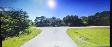 This VACANT RESIDENTIAL LAND, SINGLE FAMILY PLATTED Is available - photo 11