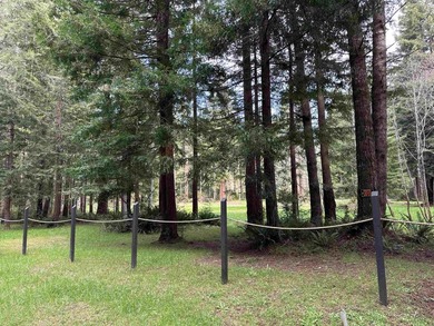 Exceptional Redwood Estate! 8.5 Acres of Refined Privacy Setting - photo 12