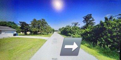 This VACANT RESIDENTIAL LAND, SINGLE FAMILY PLATTED Is available - photo 12