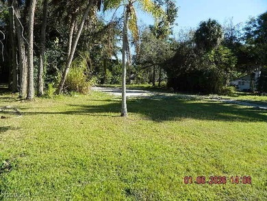 Build Your Dream Home: River Views & Boat Access at Your - photo 8