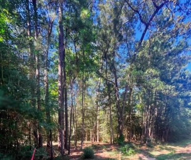 Lake Lot For Sale in Brookeland, Texas