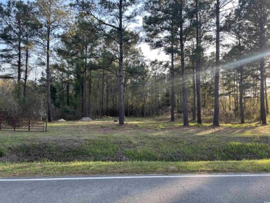 Waccamaw River Lot For Sale in Conway South Carolina