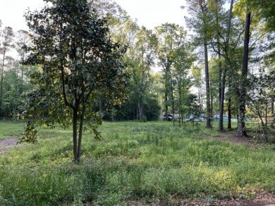Waynesboro Pond Lot For Sale in Waynesboro Georgia