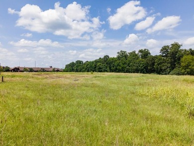 (private lake, pond, creek) Commercial For Sale in Lufkin Texas