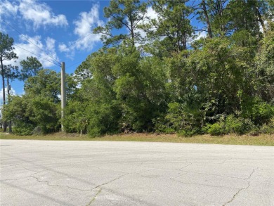 (private lake, pond, creek) Lot For Sale in Deltona Florida