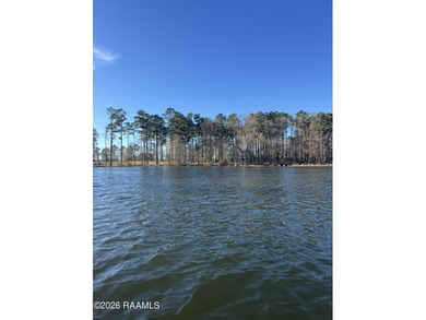 (private lake, pond, coastal) Lot For Sale in Chatham Louisiana