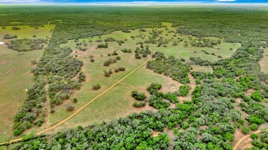 Rare opportunity to own open pasture & wooded ranchland w/ - photo 4