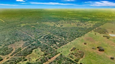 Rare opportunity to own open pasture & wooded ranchland w/ - photo 5