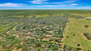 Rare opportunity to own open pasture & wooded ranchland w/ - photo 6