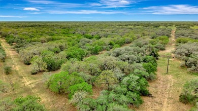 Rare opportunity to own open pasture & wooded ranchland w/ - photo 7