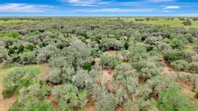 Rare opportunity to own open pasture & wooded ranchland w/ - photo 8