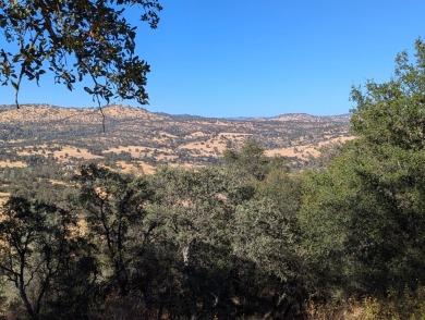 Lake Lot For Sale in Copperopolis, California