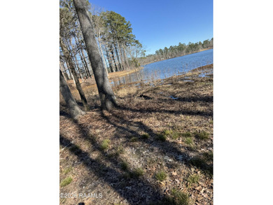 (private lake, pond, coastal) Lot For Sale in Chatham Louisiana