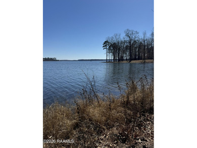 Discover the perfect canvas for your dream lake lifestyle on Lot - photo 3