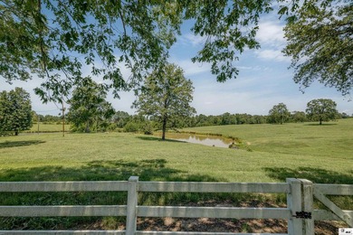 Welcome to your own private retreat! This stunning 4 bedroom, 4 - photo 23