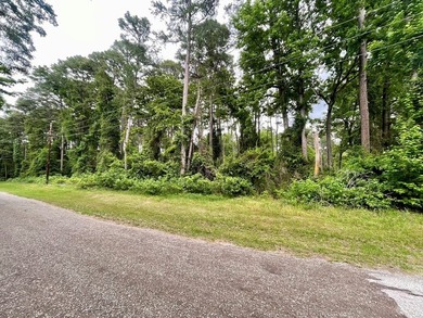 WATERVIEW Lot in Shady Brok Subdivision of Bullard on the - photo 5