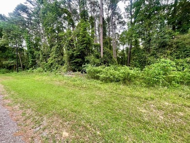 WATERVIEW Lot in Shady Brok Subdivision of Bullard on the - photo 6