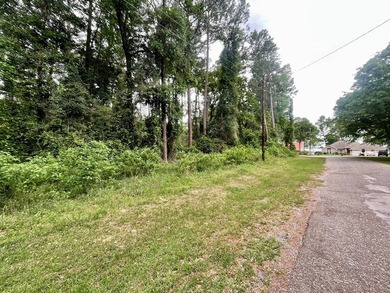 WATERVIEW Lot in Shady Brok Subdivision of Bullard on the - photo 7