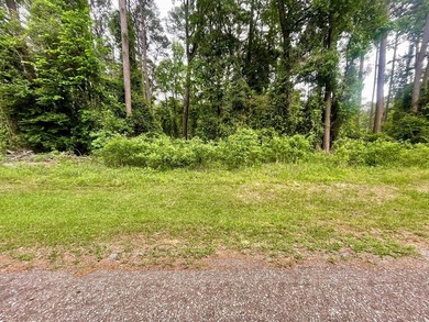 WATERVIEW Lot in Shady Brok Subdivision of Bullard on the - photo 8