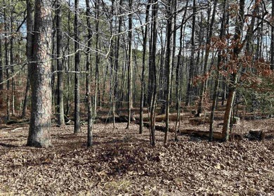 Lake Coronado Lot For Sale in Hot Springs Village Arkansas