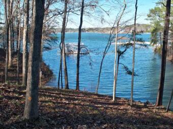 Lewis Smith Lake Lot, Bluewater Pointe, Near Dam,  - Lake Lot For Sale in Jasper, Alabama