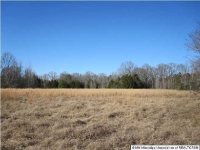 (private lake, pond, creek) Acreage For Sale in Independence Mississippi