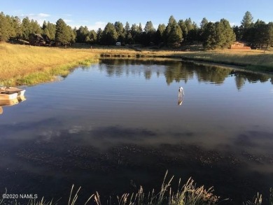 (private lake, pond, creek) Lot For Sale in Flagstaff Arizona