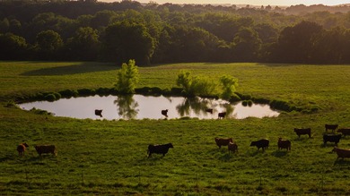 Welcome to Osage Fork Farm, a premier 820+/- acre Ozark property - photo 3