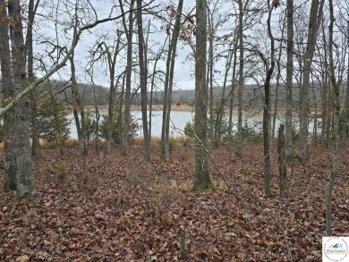 (private lake, pond, creek) Acreage For Sale in Edwards Missouri