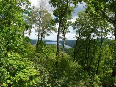 Lake Acreage For Sale in Lake Toxaway, North Carolina