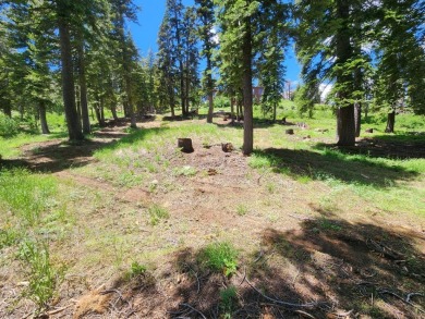 Bear Lake Lot For Sale in Bear Valley California