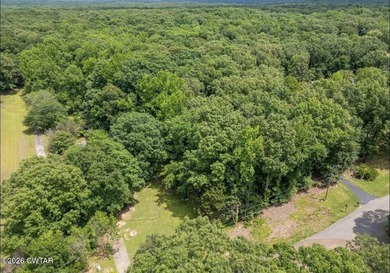 2+- acres of raw land. Lot 1 Beech Loop in Fayette county. This - photo 3
