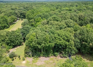 2+- acres of raw land. Lot 1 Beech Loop in Fayette county. This - photo 6