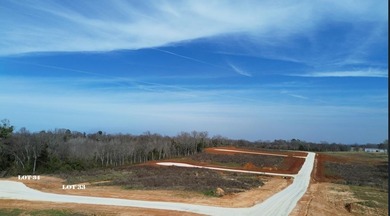 (private lake, pond, coastal) Lot For Sale in Nacogdoches Texas