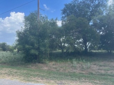 Lake Lot For Sale in Whitney, Texas