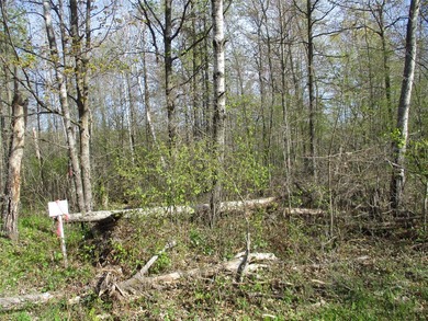 LOCATION - LOCATION - LOCATION! Just a short distance to the - photo 2