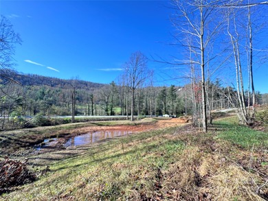 (private lake, pond, coastal) Acreage For Sale in Flat Rock North Carolina