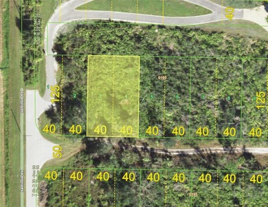 Peace River Lot For Sale in Punta Gorda Florida