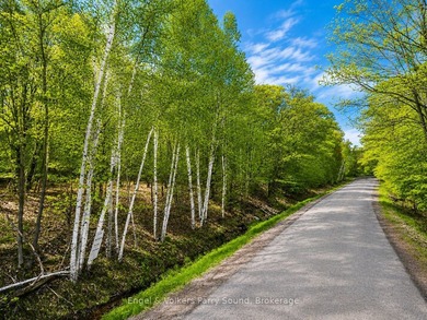 BUILD YOUR DREAM IN THE HEART OF GEORGIAN BAY! Discover an - photo 4