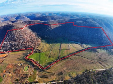 263.302 surveyed acres of Kentucky farm ground bordered by Red - photo 2
