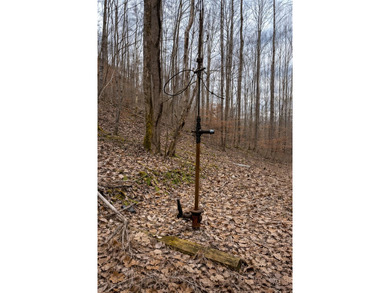 263.302 surveyed acres of Kentucky farm ground bordered by Red - photo 8