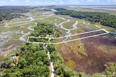 Discover the beauty of coastal Georgia on this exceptional - photo 1