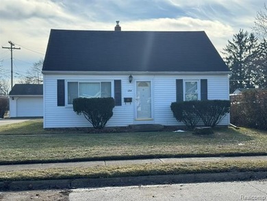 Belleville Lake Home For Sale in Belleville Michigan