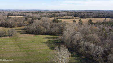 Welcome to Fullington Farms, an 85.4-acre turn-key estate in - photo 9