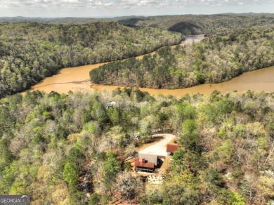 Lake Home For Sale in Ellijay, Georgia