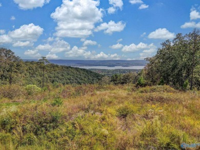 Lake Acreage For Sale in Scottsboro, Alabama