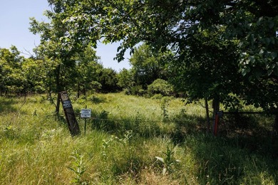 Escape to your own private piece of Kansas wilderness with this - photo 7